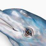 İstanbul Etfal işitme cihazları uygulama Merkezi