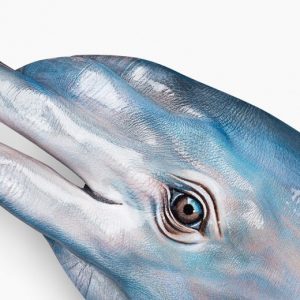 İstanbul Etfal işitme cihazları uygulama Merkezi