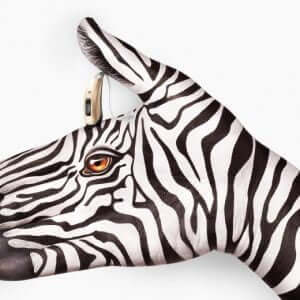 İstanbul Etfal işitme cihazları uygulama Merkezi