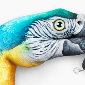 İstanbul Etfal işitme cihazları uygulama Merkezi