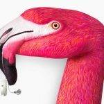 İstanbul Etfal işitme cihazları uygulama Merkezi