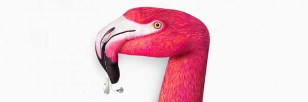 İstanbul Etfal işitme cihazları uygulama Merkezi