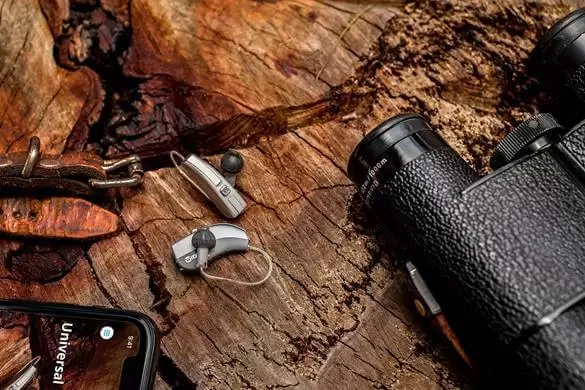 evoke widex f2